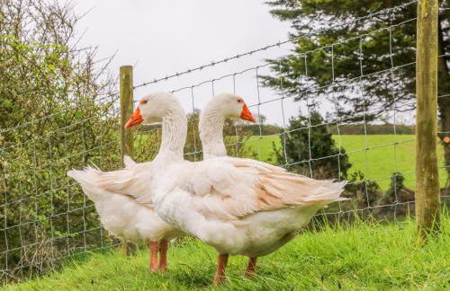 Kingfisher Cottage - Foto 17