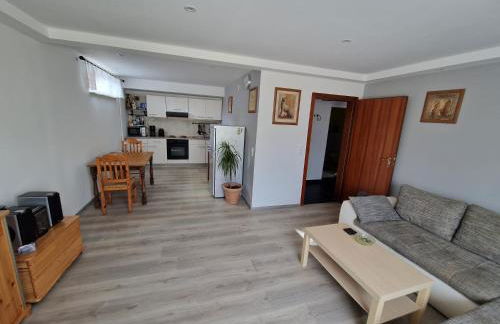 Ferienwohnung Bacharach - Photo 44