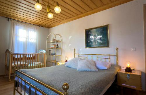 Renovated Old Manor House With Yard - Photo 3