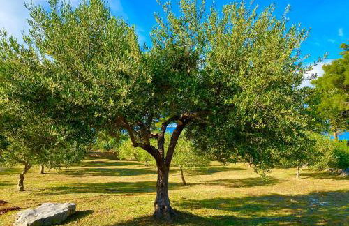 Villa Maginja - Photo 38