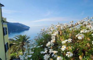 La Coccinelle - Superb Views - Foto 27