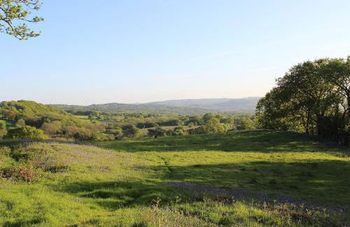 Kite Cottage - Photo 10