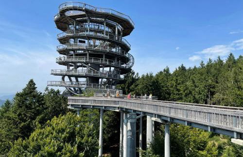 FeWo Amalia - Foto 30