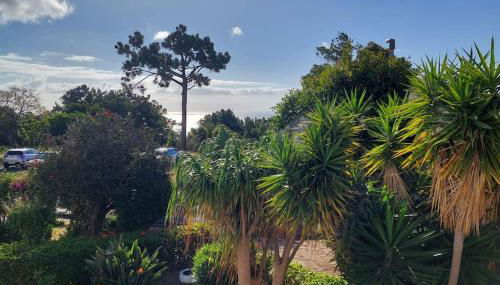 Viewpoint Machico - Lovely Nature View - Foto 5, Garden, Garden view