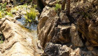 Apartamentos Boutique Fuente Real - Foto 3, Garden