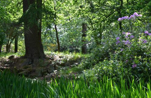 NEW - Beautiful, spacious Beechwood Lodge with lovely gardens - Photo 37