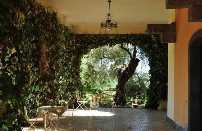 Antico Borgo Etneo Country Hotel - Photo 69