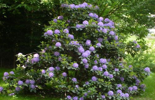 Ferienhaus in Vogtland - Foto 46