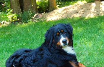 Domek Zofiówka dostęp na kod - Foto 36