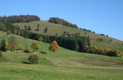 Forsthauswohnung im Schwarzwald - Foto 36