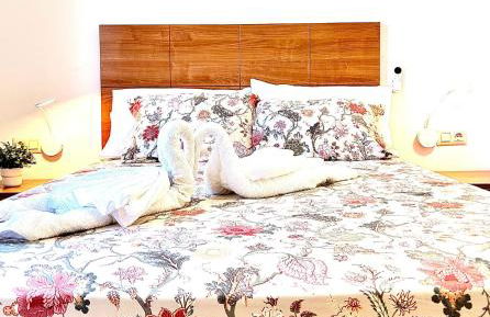 El Oasis de Gara - Foto 7