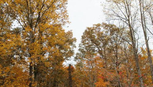 "Cozy Dumplin" - Warm & Modern Stay in RRG/Auxier - Foto 3, Other