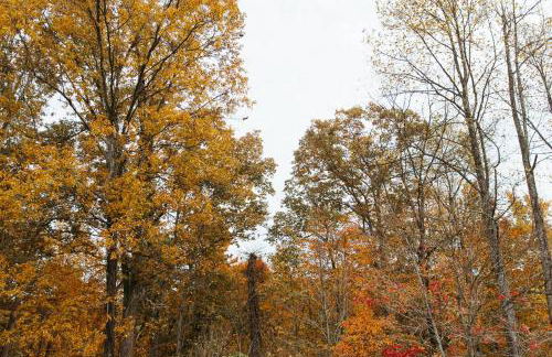 "Cozy Dumplin" - Warm & Modern Stay in RRG/Auxier - Foto 3