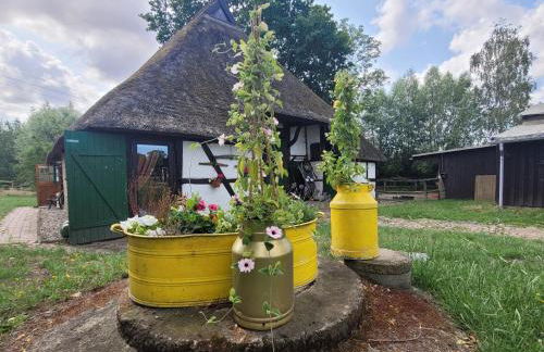 Ferienhof Schwalbennest OFC 24 - Foto 49