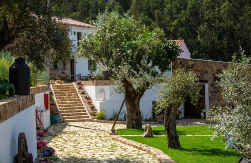 Reinado de Dom Dinis - Foto 138