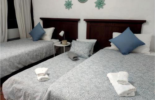 Finca Lomo Grande - Foto 38