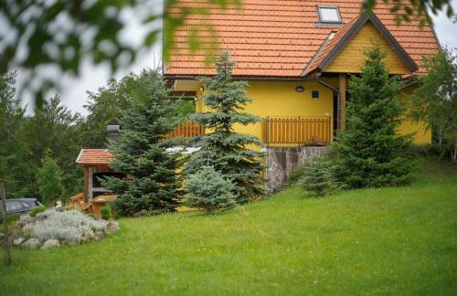 Poli Baneta - Foto 9