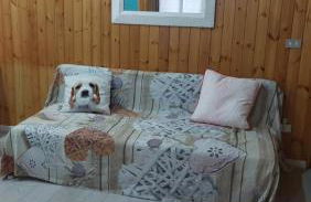 Sestola Paradise All Seasons - Foto 14