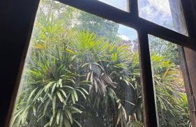 Sítio Chamego - RJ - Foto 46