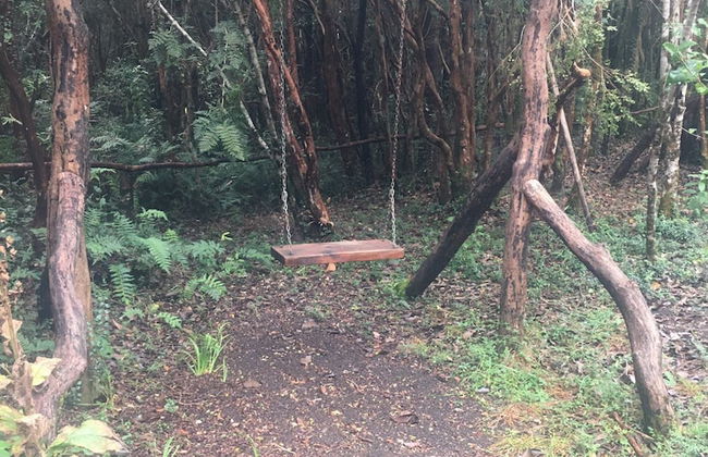 Cabañas Ensenada Bosque Nativo - Foto 45