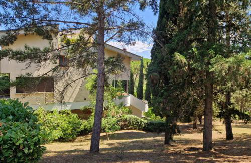 Santa Cristina - Photo 14