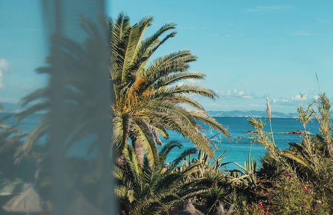 Apartamentos Portu Saler - Foto 14