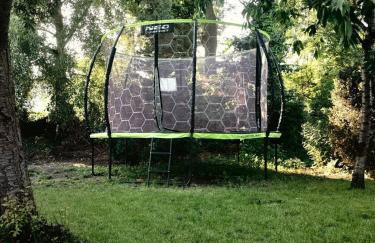 Apartament Mickiewicza - Foto 10