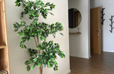 Apartmani Palada - Photo 23