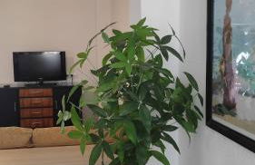 Casa Tia Pilar - Photo 14