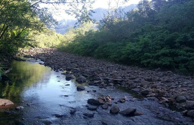 Tiny House Garden - Praia Grande - SC - Foto 57