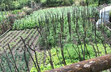 Casa do Porto - Foto 70