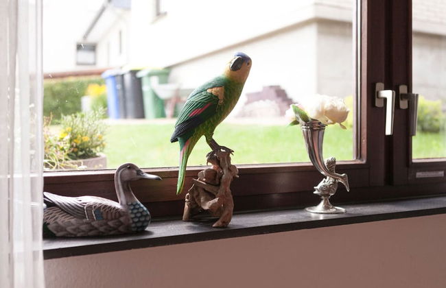 Sonnige Wohnung in Bad Driburg mit Garten - Foto 37