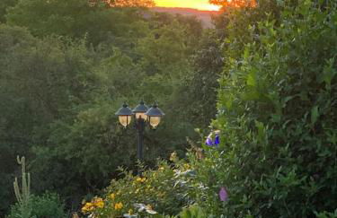Freistehender Bungalow in Marktbreit in Traumlage mit großem Garten - Foto 9