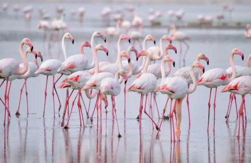 Villamartin apartment. Excellent location for Golfers, Cyclists and Hikers - Foto 53