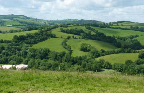 Fig Tree Cottage - Foto 33