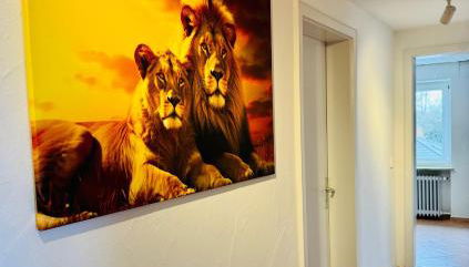 Lion Flat 2 Zimmer Wohnung in Vohburg mit Büro - Foto 4