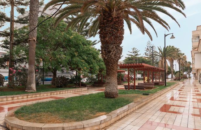 Vi a Vieja in Arona - Foto 73