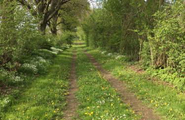 Ländliches HideAway zwischen Hamburg und Lübeck - Foto 26