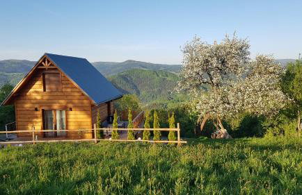 Domek Góralski Piwowarówka - Foto 67