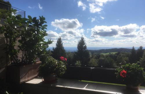 Komfortable Wohnungen und Studio in Sankt Englmar - Foto 1