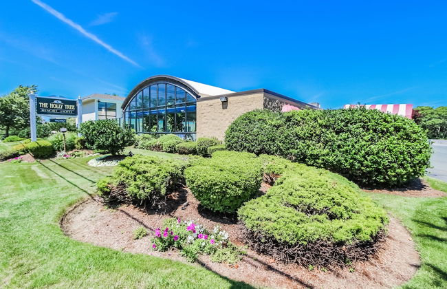 Holly Tree Resort - Foto 1