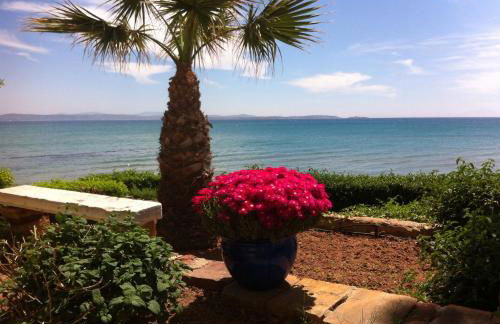 Sideratos Apartments - Photo 44