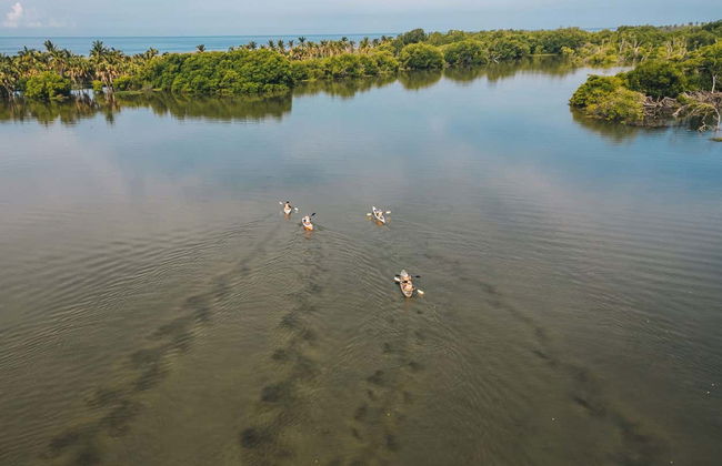 Tour in kayak alla laguna di Manialtepec - Foto 8