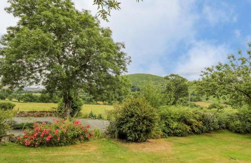 Byrdir Cottage - Photo 39