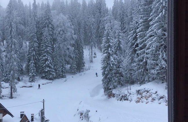 Villa Deja Jahorina - Foto 27