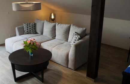 Ringelnatz & Lichtwer - Ferienwohnung Wurzen - Foto 14