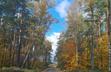 Domek Konrad - balia ogrodowa dodatkowo płatna - Foto 61