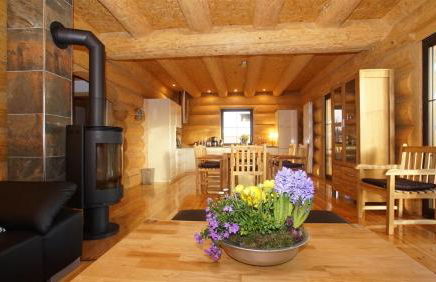 Holzhaus Usedom mit moderner Ausstattung SAUNA und Kamin - Foto 17