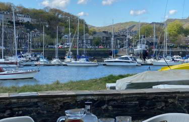 Georgina Portview- Pet Free-Allergy Friendly - Foto 7