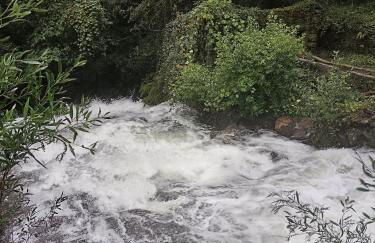 Quinta do Fortunato-Casa dos Caseiros-Minho, Viana do Castelo, Meixedo-Turismo rural - Foto 35